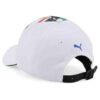 80165B32D78-2 BMW M Motorsport Roy Lichtenstein Cap Unisex