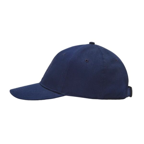 BMW cap logo - Blue