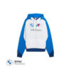 BMW M Motorsport Lifestyle Hoodie - M Color, M