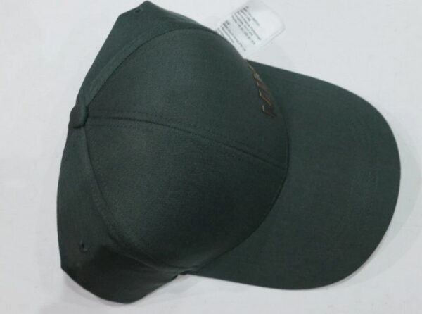 MINI Cap Baseball WordMark Two-Tone SAGE - 80165A51678