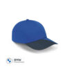 MINI Cap Car Face Detail - Blazing Blue and Indigo - 80165B320B4